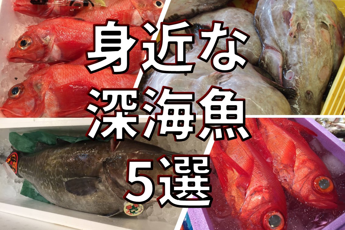 身近な食べられる深海魚5選