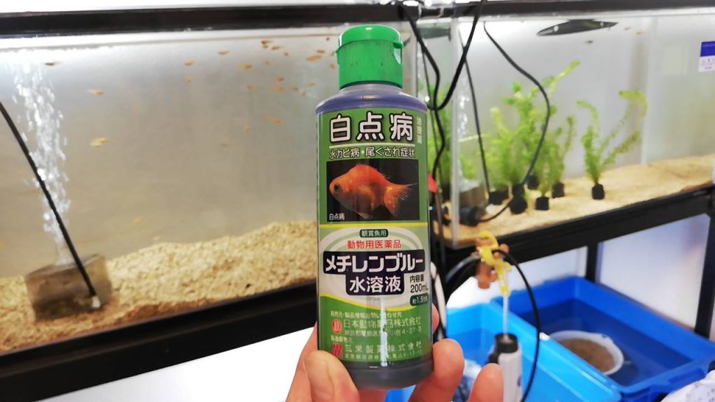 Methylene blue solution commonly used to treat fish diseases