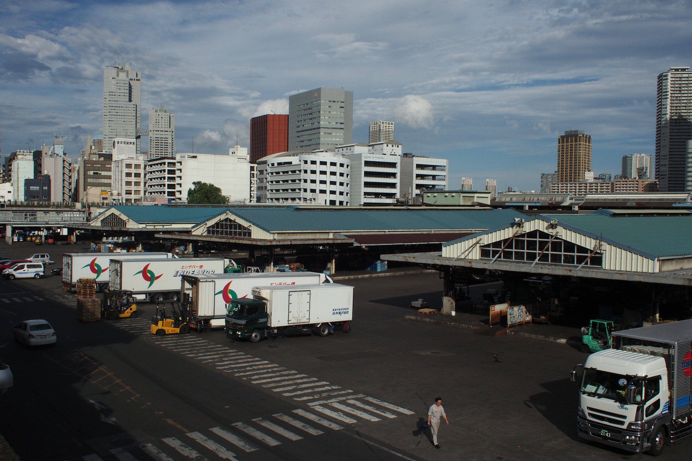 卸売市場法改正のポイント 第三者販売禁止 の原則廃止ってどういうこと 何が変わるの めだか水産 広報部