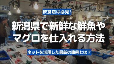 【飲食店は必見】新潟県で新鮮な鮮魚やマグロを豊洲市場から仕入れる方法！